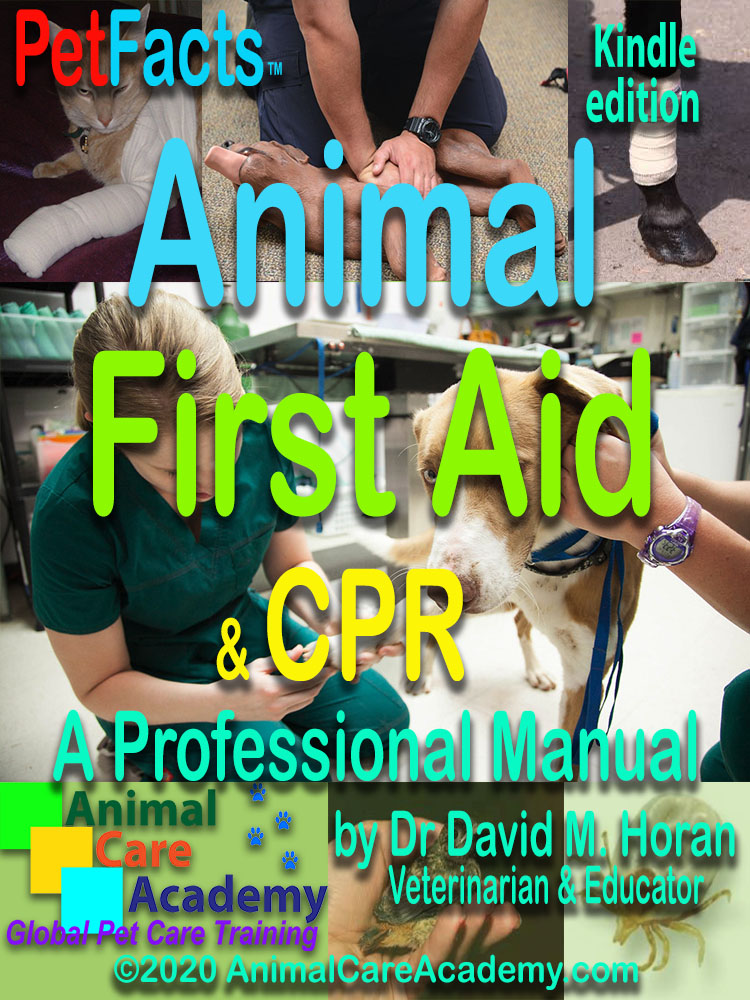 First Aid And Cpr Manual