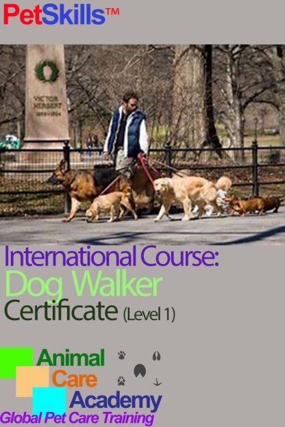 PetSkills™ Dog Walker Certificate (Level 1) International Course