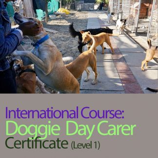 PetSkills™ Doggy Day Carer Certificate (Level 1) International Course