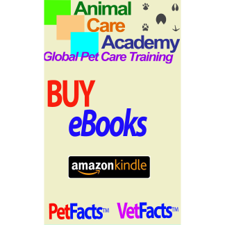 BUY Kindle eBook